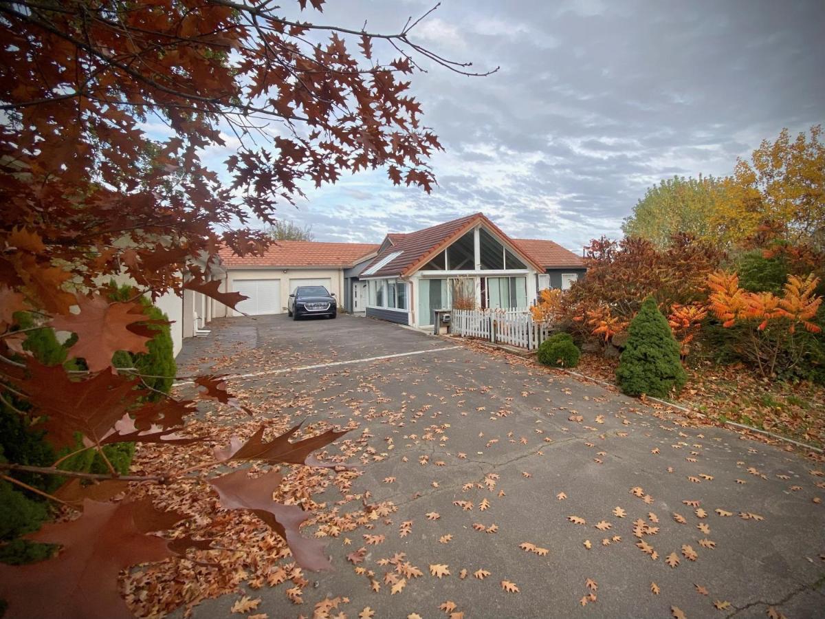 Villa 200M2 Avec Piscine Chauffee & Spa & Sauna & Kota-Grill Laval-sur-Vologne Kültér fotó